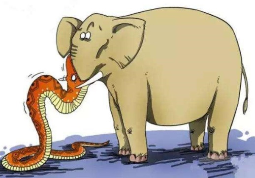 蛇吞象